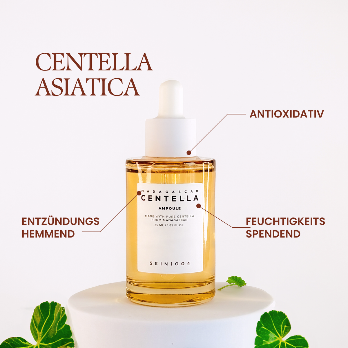 Magascar Centella Ampoule