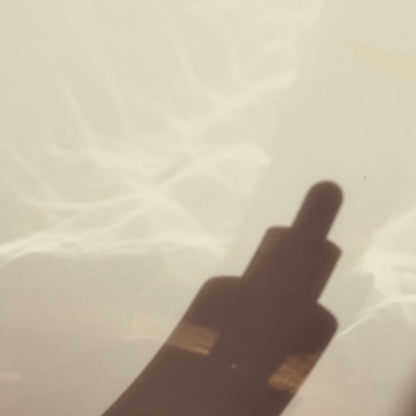 Madagascar Centella Ampoule